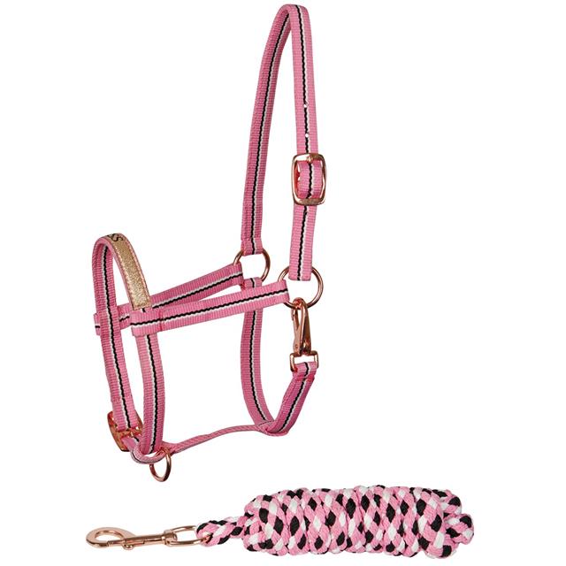 Licol et Longe Poulain Foal Harry's Horse Rose