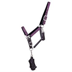 Licol et Longe QHP COLLECTION Violet