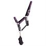 Licol et Longe QHP COLLECTION Vert foncé