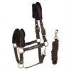 Licol et Longe Reno HORSEGEAR Marron