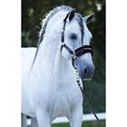 Licol et Longe Reno HORSEGEAR Marron