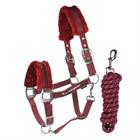 Licol et Longe Reno HORSEGEAR Rouge foncé