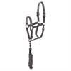 Licol et Longe Stones Anky Gris
