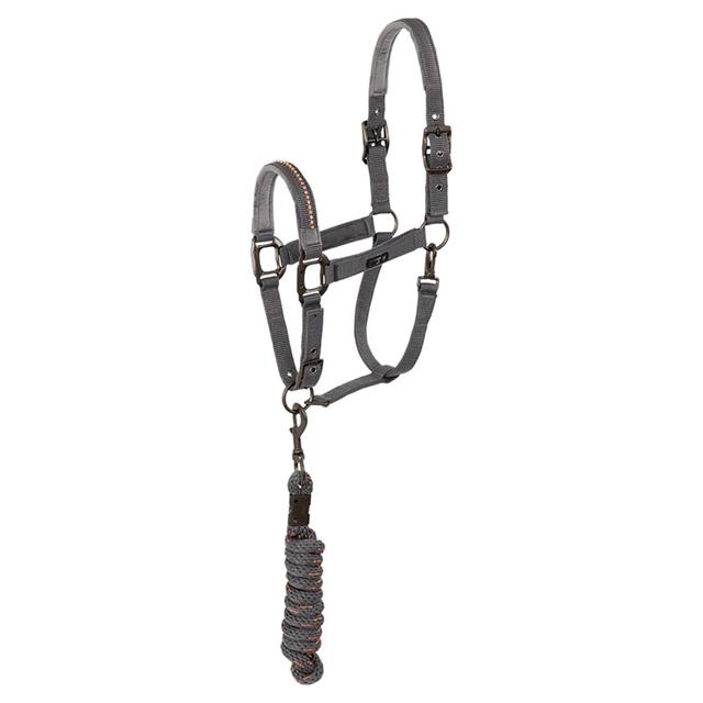 Licol et Longe Stones Anky Gris