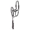 Licol et Longe Stones Anky Gris