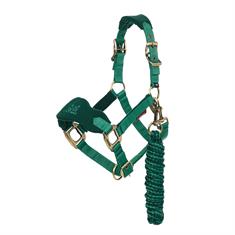 Licol et longe Vogue Mini LeMieux Vert foncé
