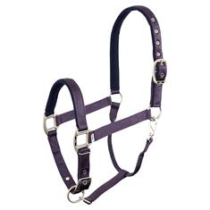 Licol Event BR Mauve-bleu