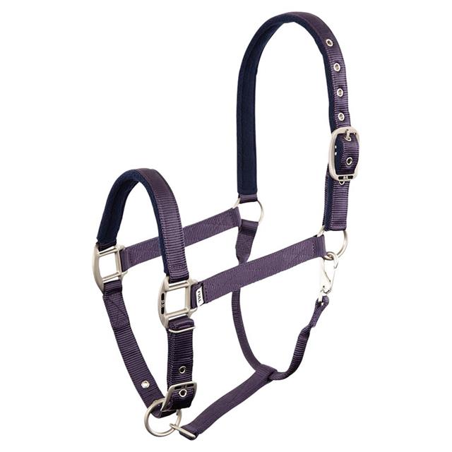 Licol Event BR Mauve-bleu