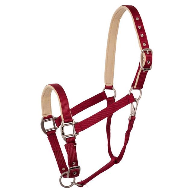 Licol Event BR Rouge moyen