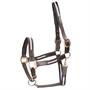 Licol Finn HORSEGEAR Bleu foncé-marron