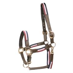 Licol Finn HORSEGEAR Bleu foncé-rouge foncé