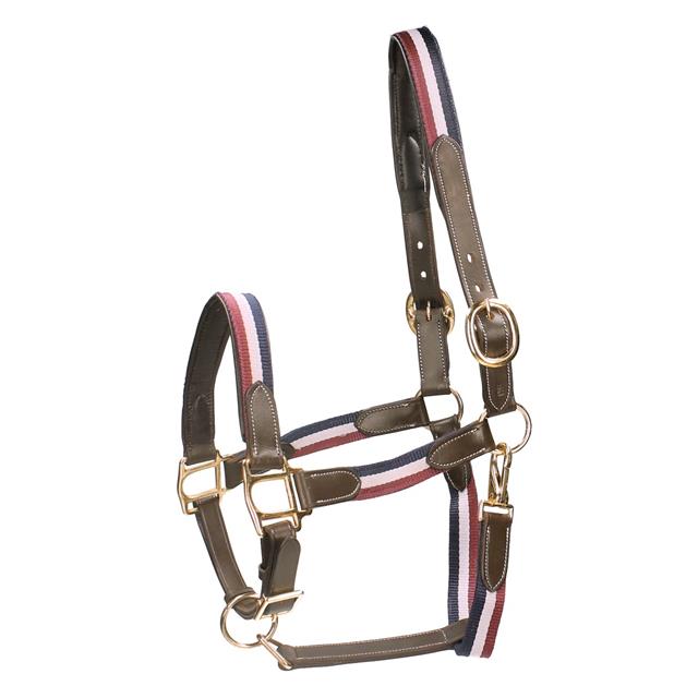 Licol Finn Horsegear Bleu foncé-rouge foncé