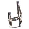 Licol Finn HORSEGEAR Marron foncé-vert