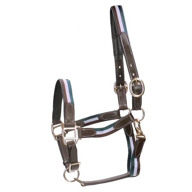 Licol Finn Horsegear Marron foncé-vert