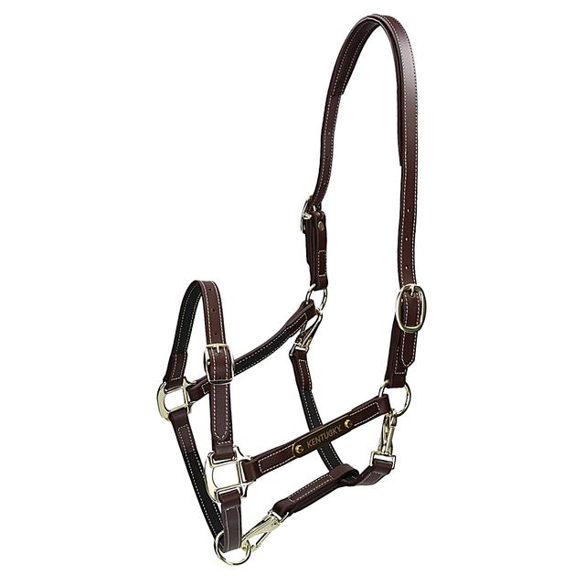 Licol Flexible Kentucky Marron