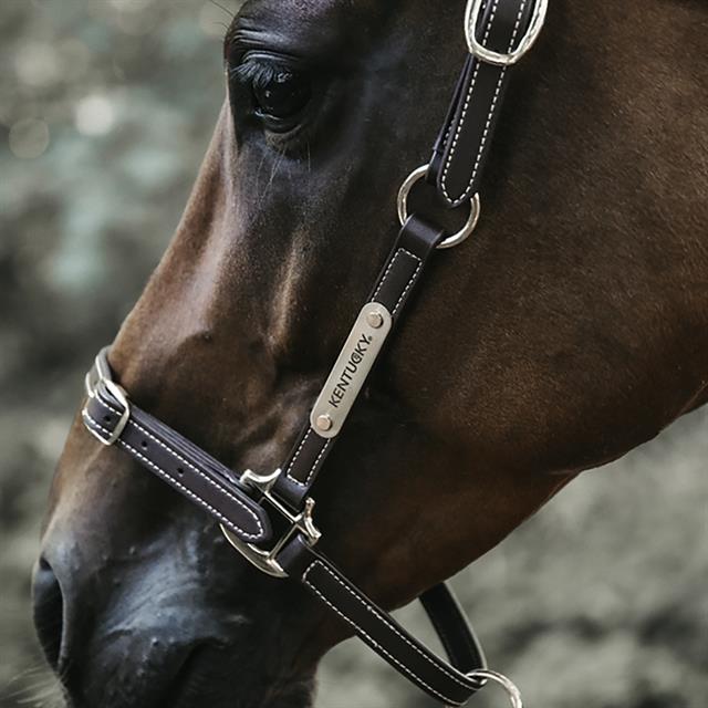 Licol Flexible Kentucky Marron