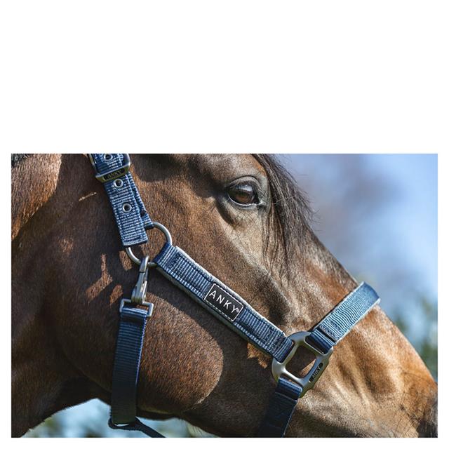 Licol Grooming Anky Bleu foncé