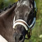 Licol HGLyx HORSEGEAR Marron foncé