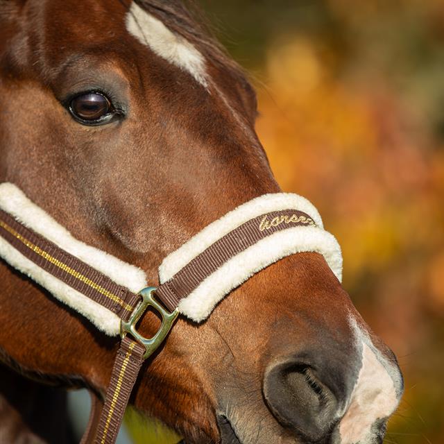 Licol HGLyx HORSEGEAR Marron foncé