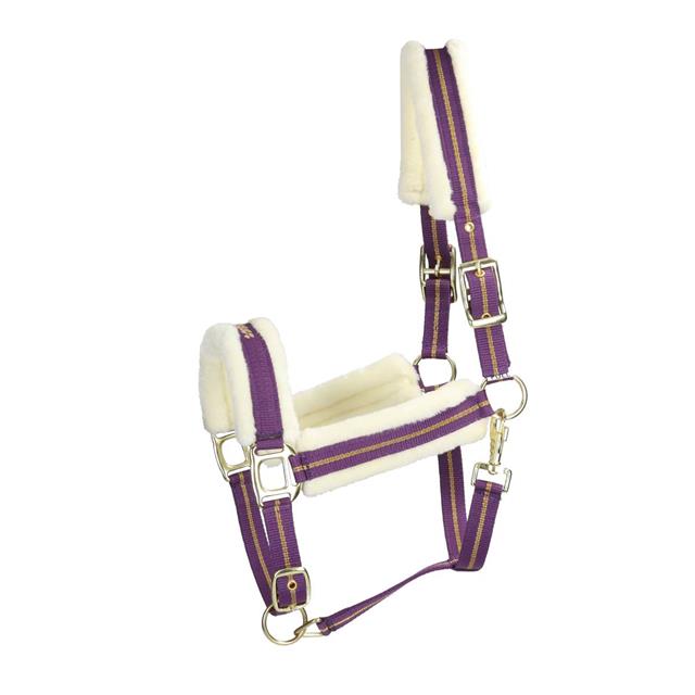 Licol HGLyx HORSEGEAR Violet