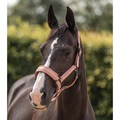 Licol IRHLovely Imperial Riding Rose clair