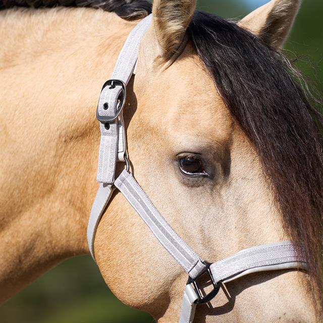 Licol IRHSparkle Imperial Riding Blanc cassé