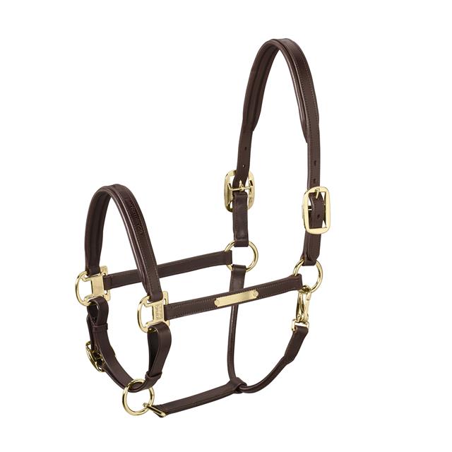 Licol Leather Elegance Eskadron Marron foncé