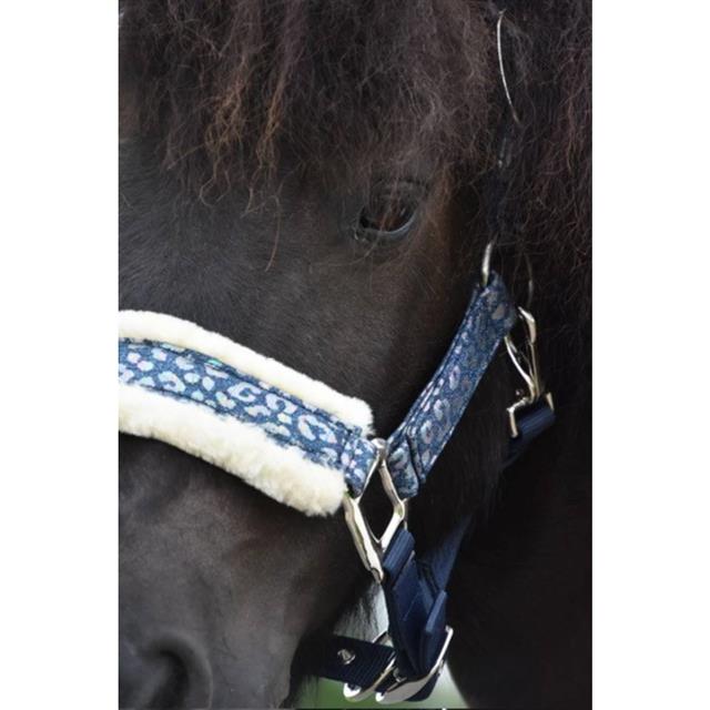 Licol Limited Edition Leopard Epplejeck Bleu foncé