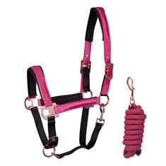 Licol & longe El Pinto Harry's Horse