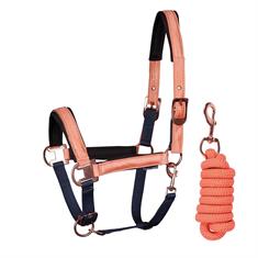 Licol & longe El Pinto Harry's Horse