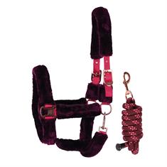 Licol & longe Reine Harry's Horse Mauve foncé