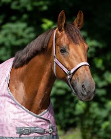 Licol & longe Turnout Collection QHP