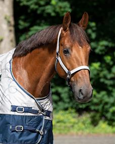 Licol & longe Turnout Collection QHP