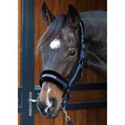 Licol Lyrics Quotes Harry's Horse Bleu foncé