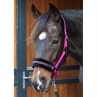 Licol Lyrics Quotes Harry's Horse Rose foncé