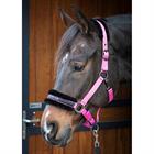 Licol Lyrics Quotes Harry's Horse Rose