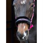 Licol Lyrics Quotes Harry's Horse Rose