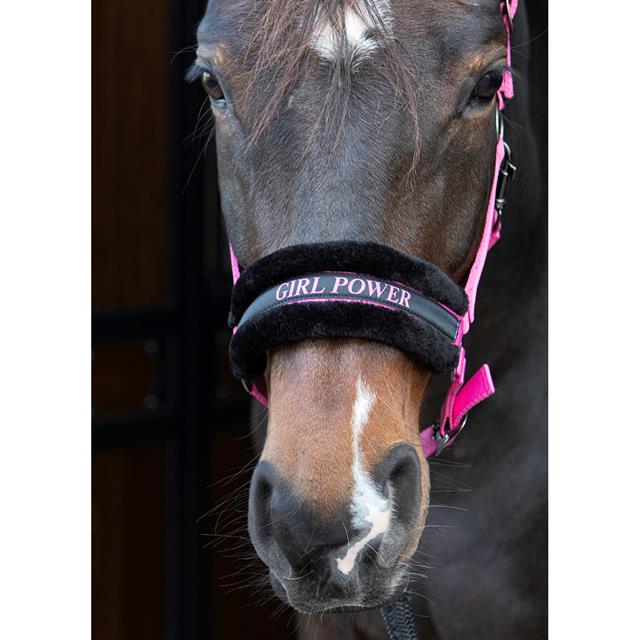 Licol Lyrics Quotes Harry's Horse Rose