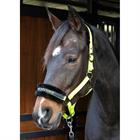 Licol Lyrics Quotes Harry's Horse Vert clair