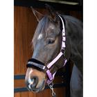 Licol Lyrics Quotes Harry's Horse Violet