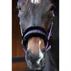 Licol Lyrics Quotes Harry's Horse Violet