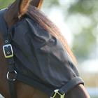 Licol Masque Anti-Mouches Combi HORSEGEAR Noir