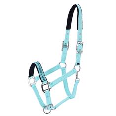Licol Memphis II Schockemöhle Turquoise