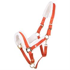 Licol Menton QHP Orange