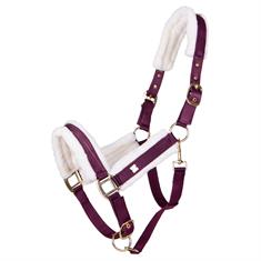 Licol Menton QHP Violet