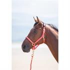 Licol Nylon Topaz Shires Orange