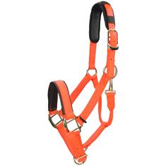 Licol Nylon Topaz Shires Orange