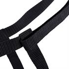 Licol Pairie Barato Noir