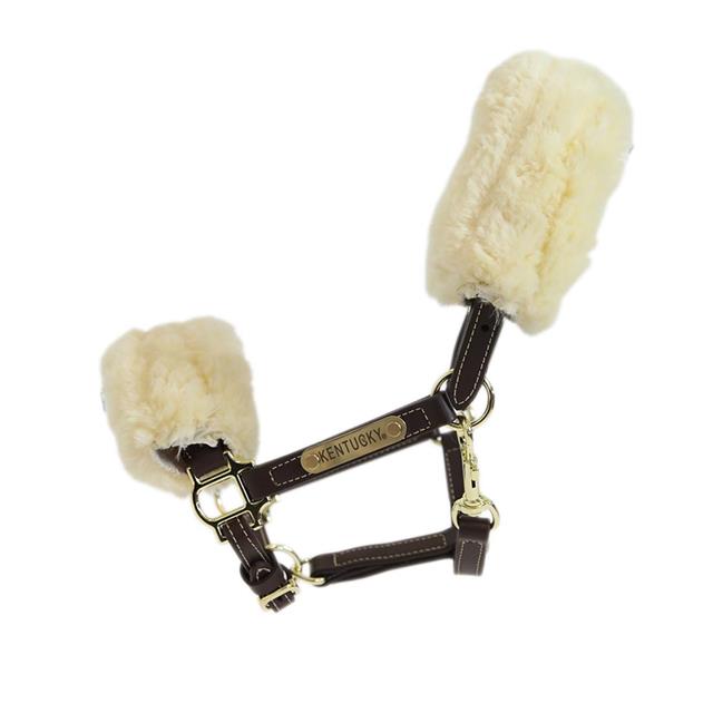 Licol peau de moutons Kentucky Marron