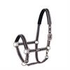 Licol Pin Buckle Eskadron Bleu foncé-marron